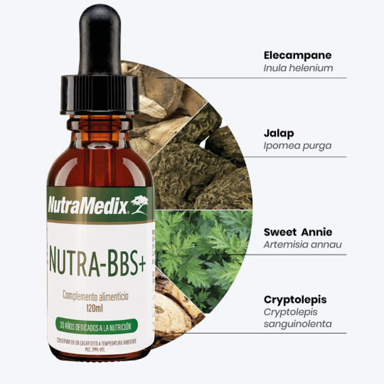 Nutra BBS+ 120 ml