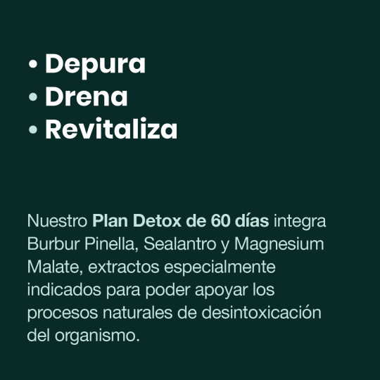 Plan Salud 365. Detox