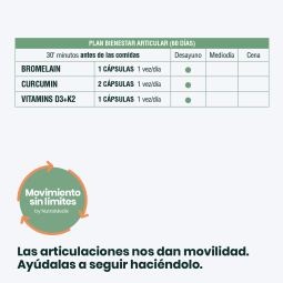 Plan Movimiento sin Límites. Bienestar Articular