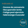 Plan Movimiento sin Límites. Recuperación saludable