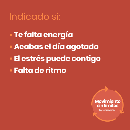 Plan Movimiento sin Límites. Energía
