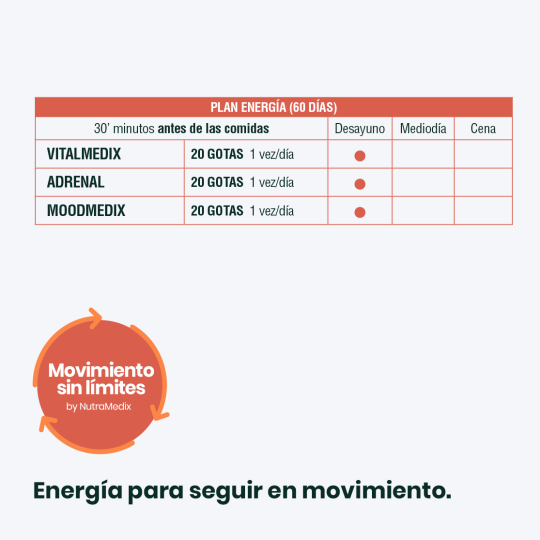 Plan Movimiento sin Límites. Energía