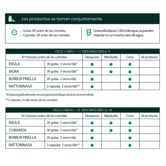 Protocolo Antiparasitario (mes 01)