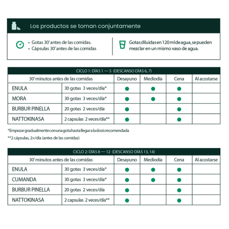 Protocolo Antiparasitario (mes 02)
