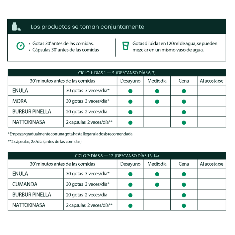 Protocolo Antiparasitario (mes 02)